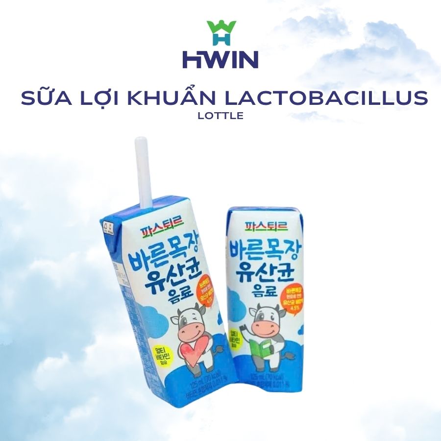 sua loi khuan lotte